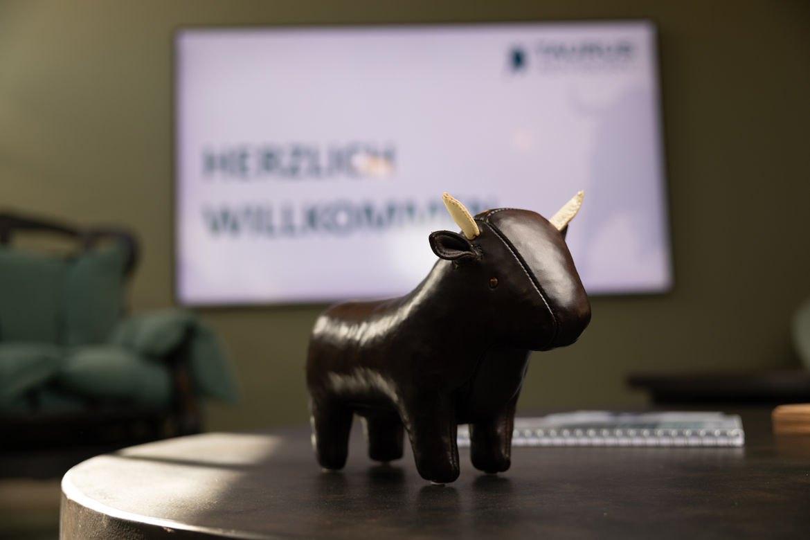 Bild von Bullen vor Taurus Advisory Präsentation